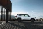 Toyota RAV4 Hybrid Style 2019 года (WW)